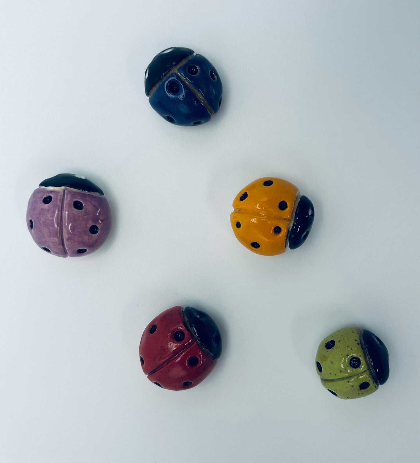Ladybugs