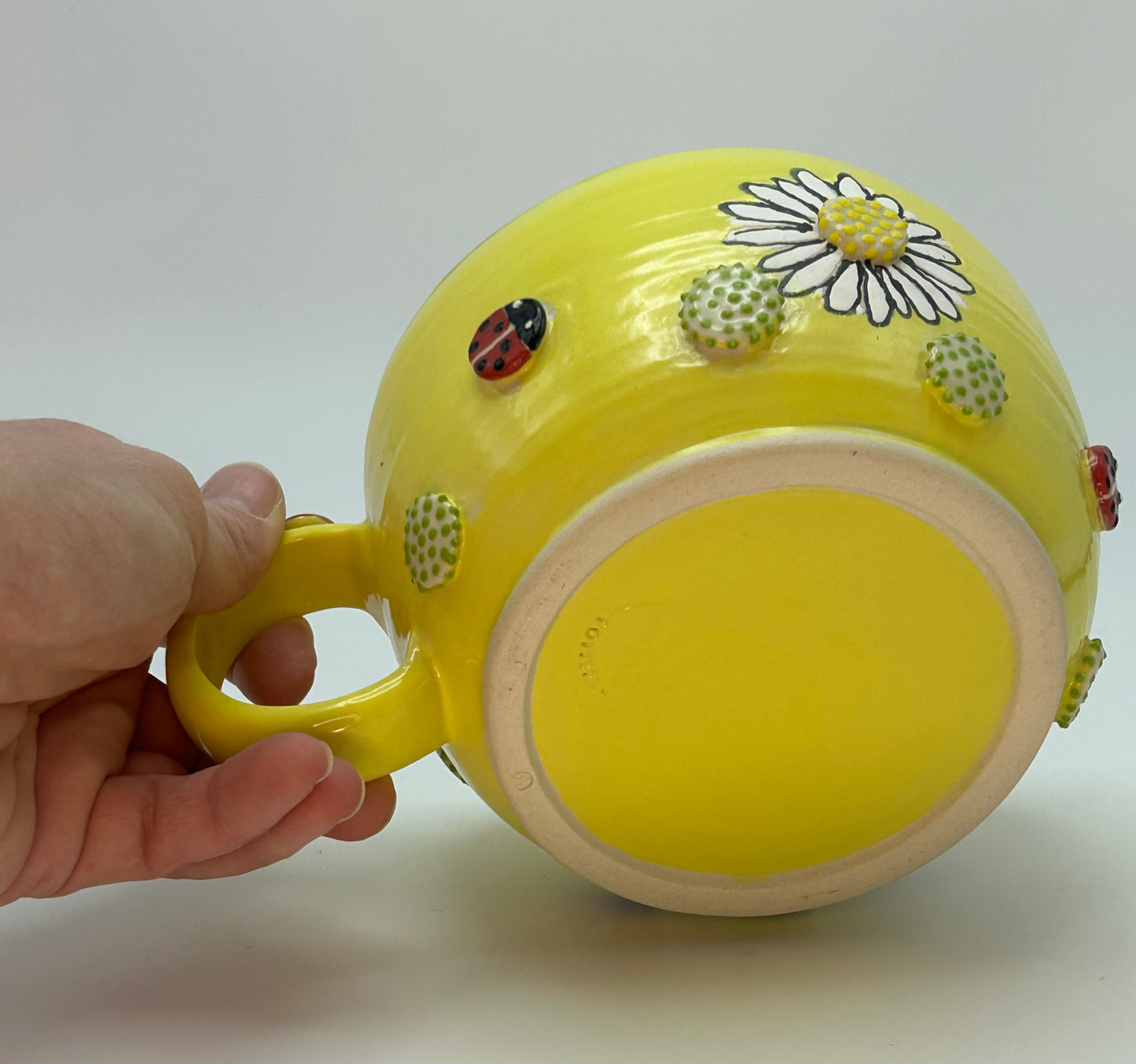 Ladybug Surprise soup mug