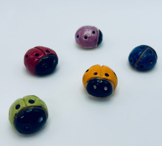 Ladybugs